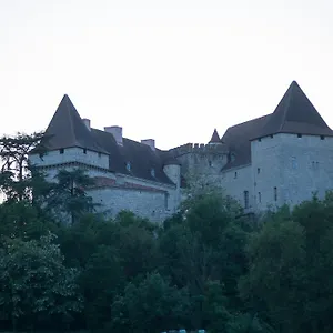  Dom wakacyjny Chateau De Francja
