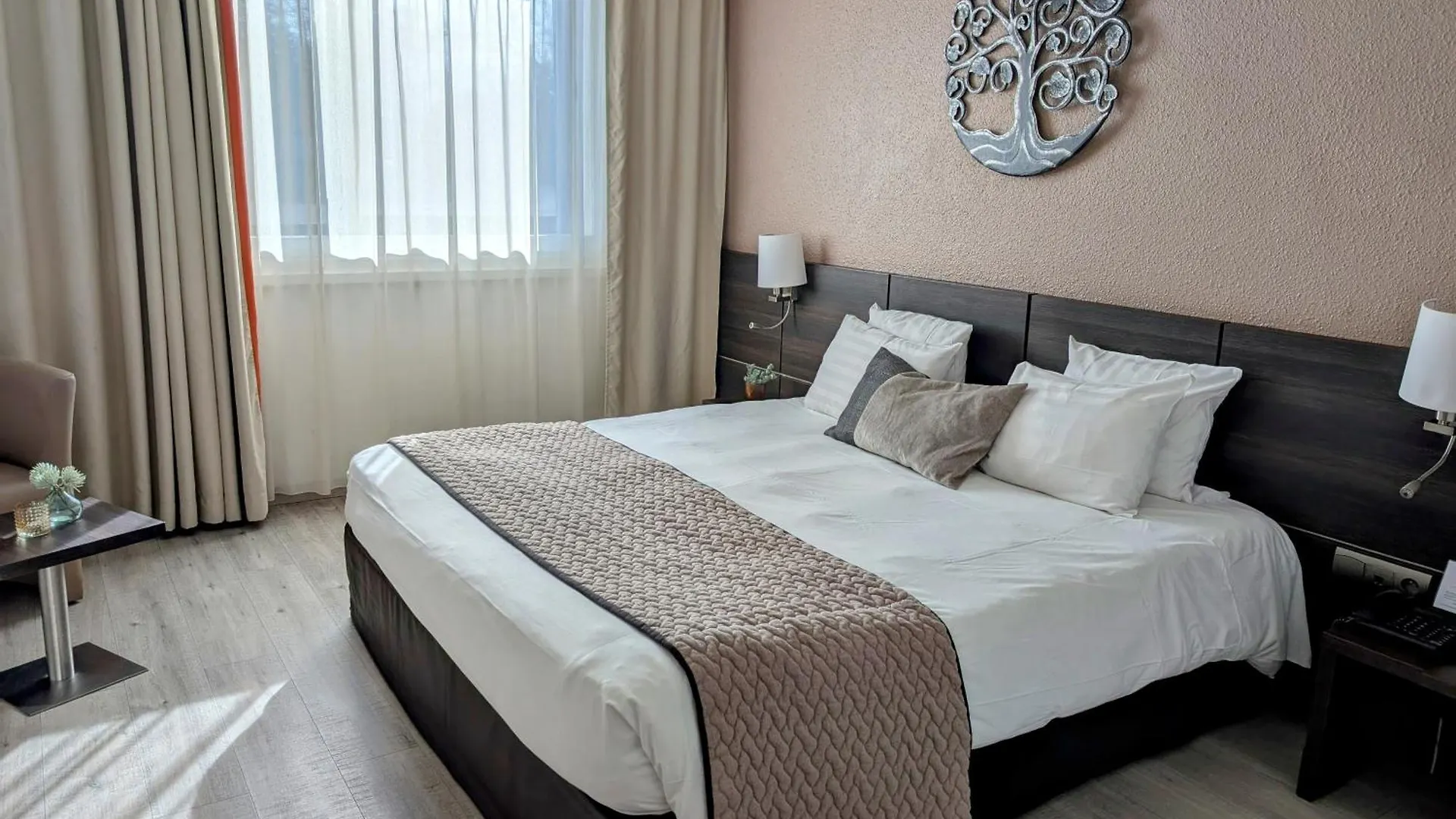 Hotel Best Western Alexander Park Chambery